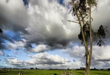 前三节领先球队顺利击败对手