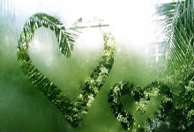 铁人三项赛场上彪悍展现实力