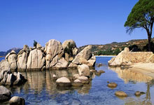 无论胜负，比赛中球队的表现都值得肯定